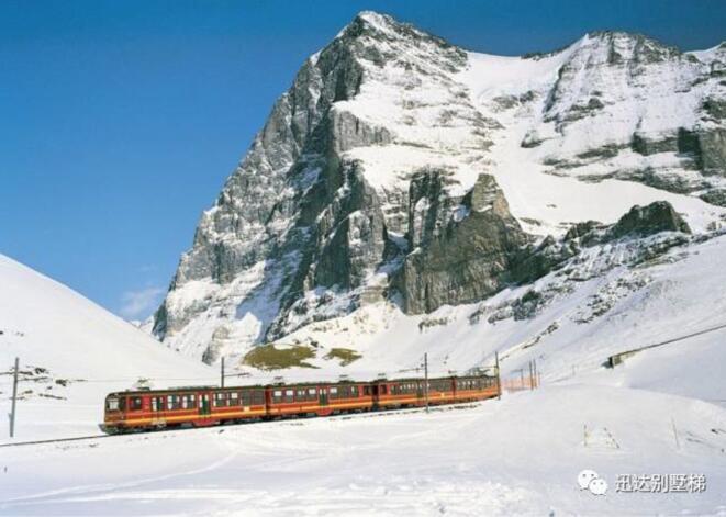 森林舞会官网-追求康健,你我一起生长