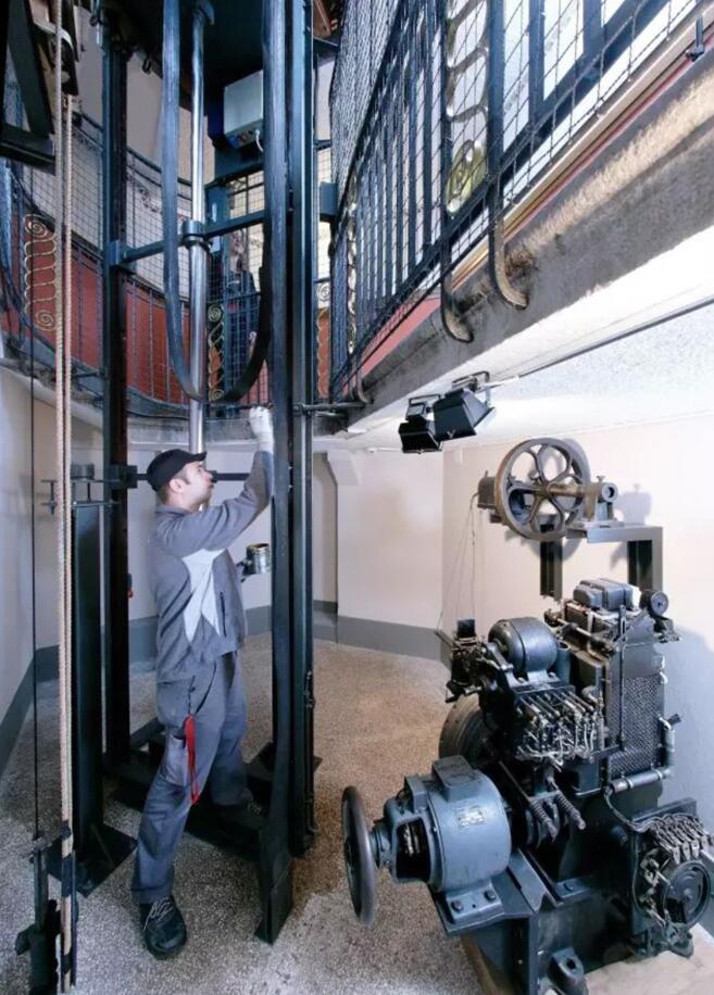 森林舞会官网-追求康健,你我一起生长